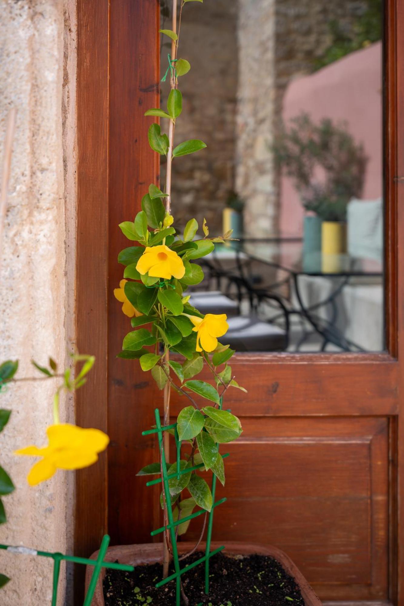 העיירה רתימנו Phaedra Suites (Adults Only) מראה חיצוני תמונה
